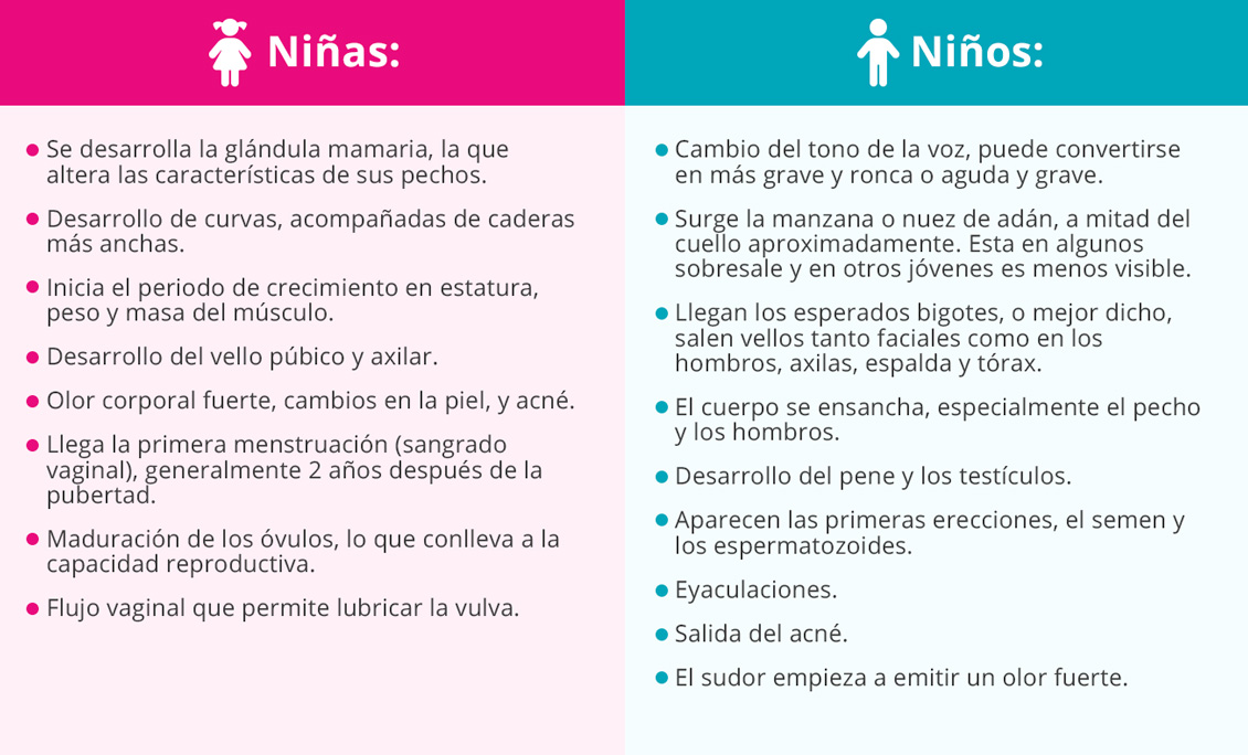 Cuadro Informativo Sobre los Cambios Fsicos de los Nios y Nias en la Adolescencia